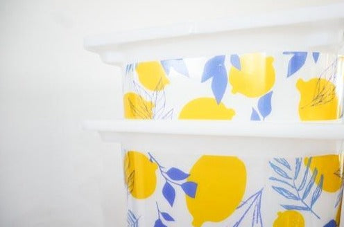 Making Lemonade storage box print